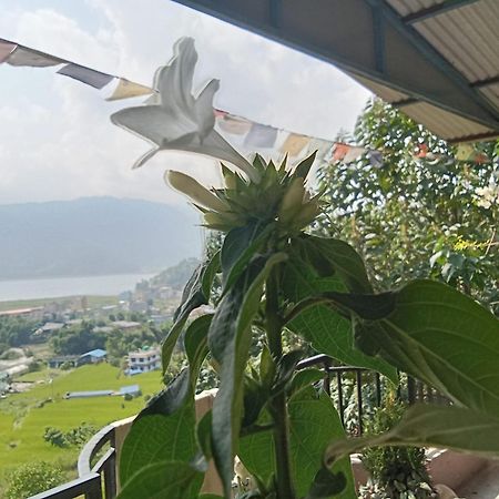 Gautam Garden Guest House Pokhara Luaran gambar