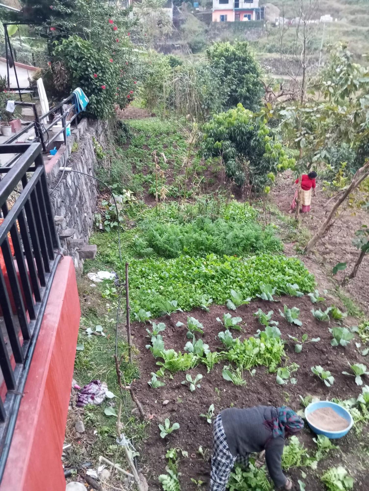 Gautam Garden Guest House Pokhara Luaran gambar
