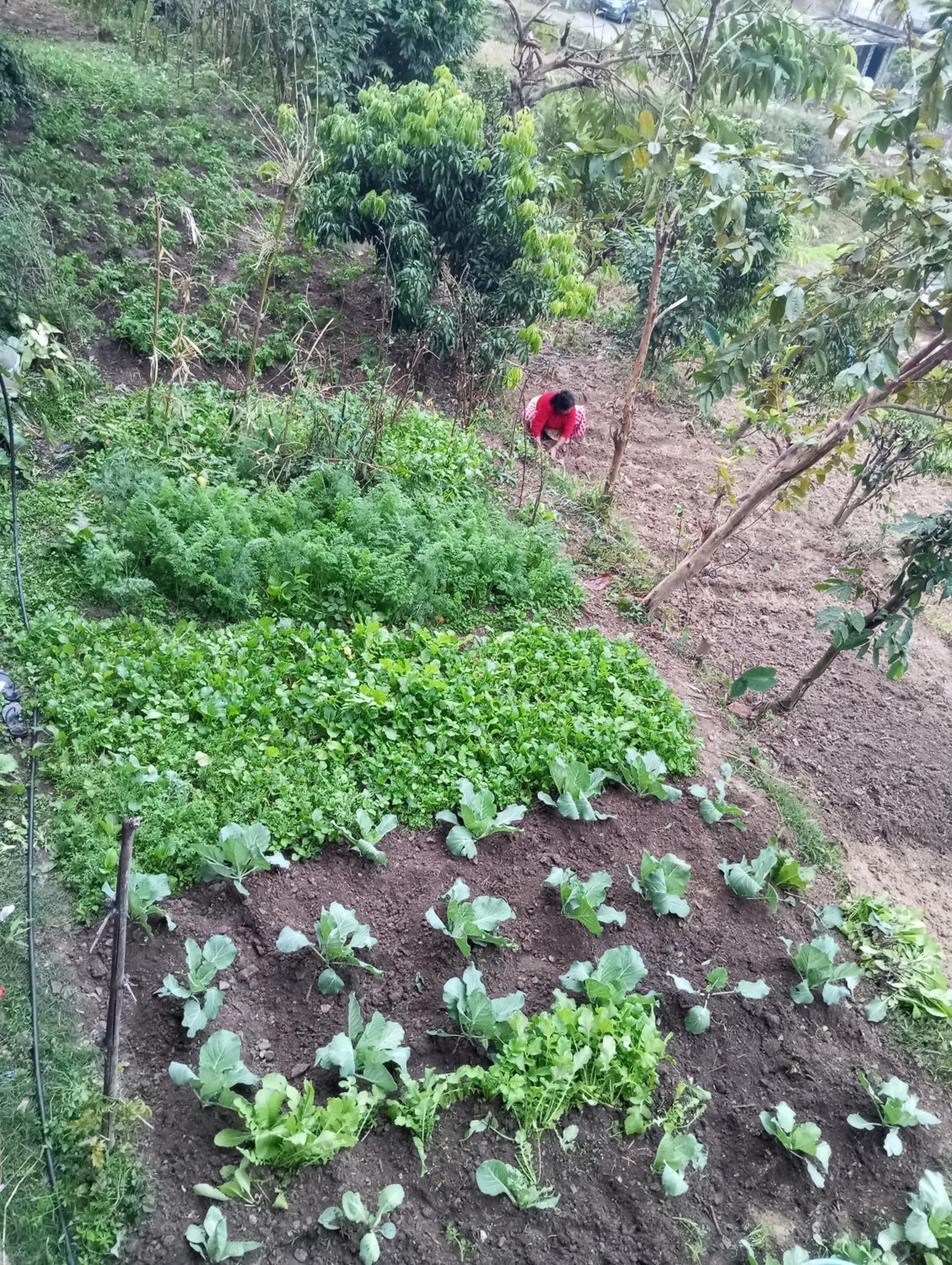 Gautam Garden Guest House Pokhara Luaran gambar