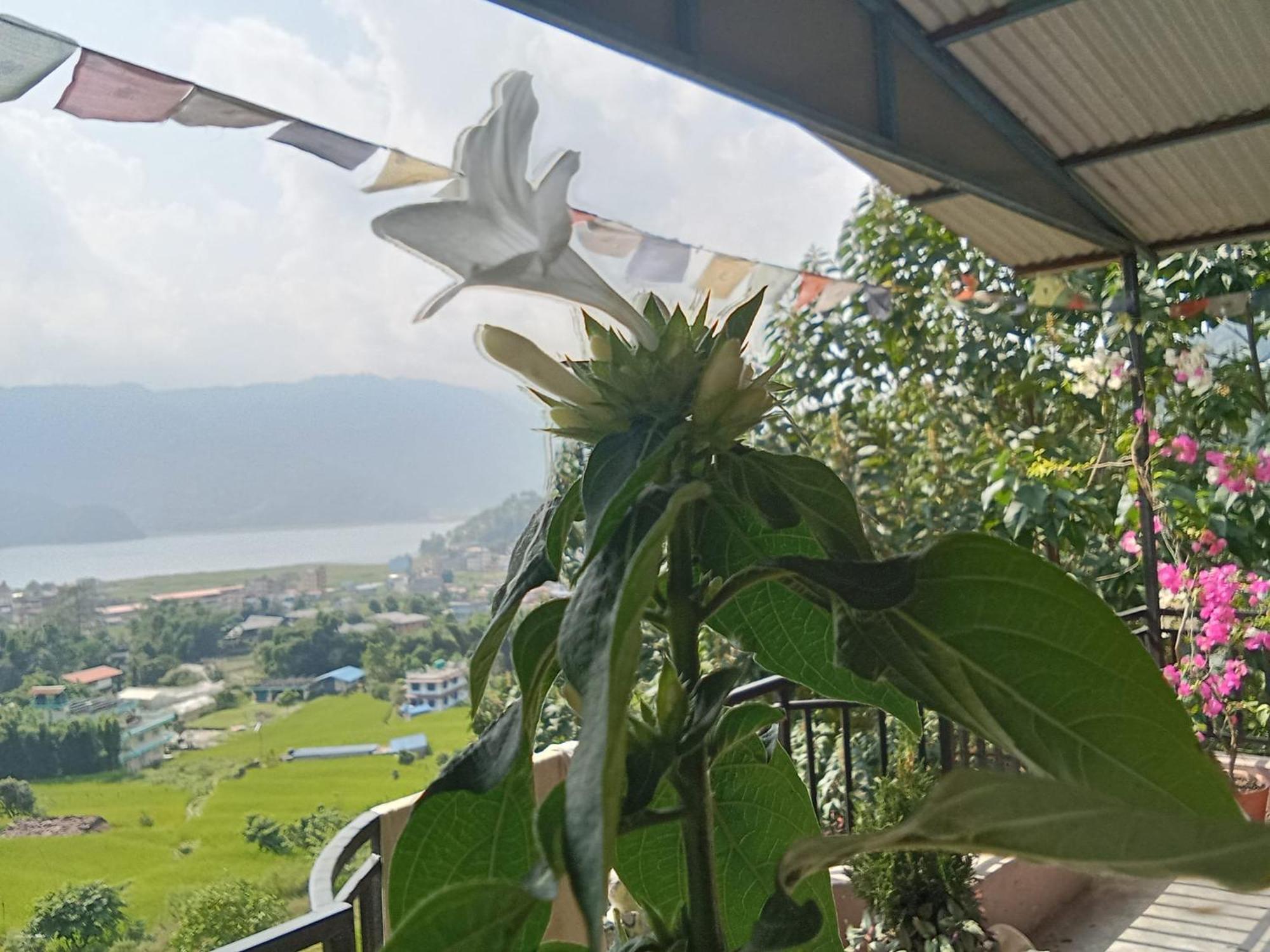 Gautam Garden Guest House Pokhara Luaran gambar