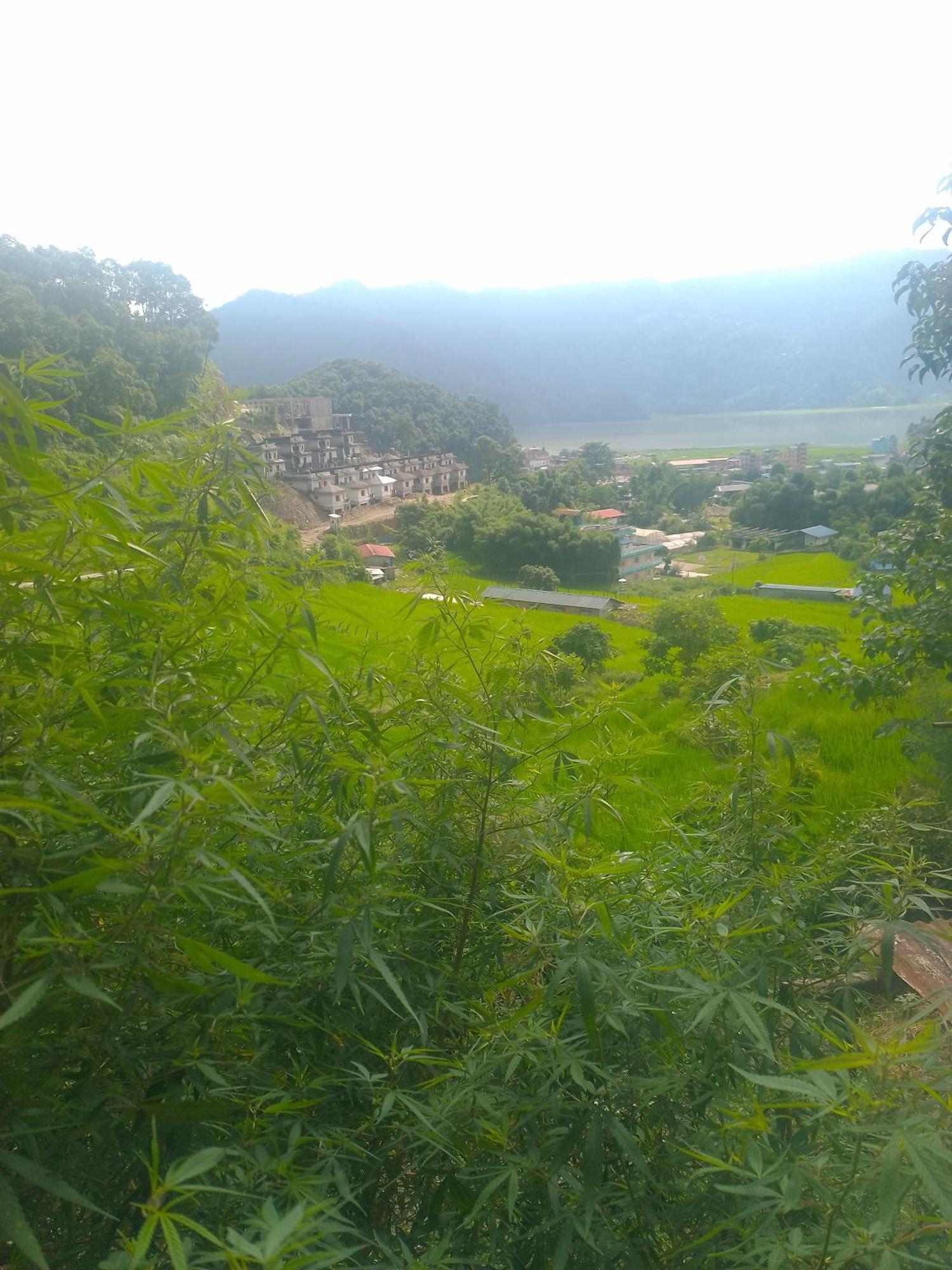 Gautam Garden Guest House Pokhara Luaran gambar